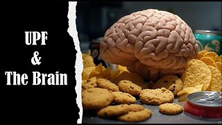 Ultra-Processed Food & The Brain