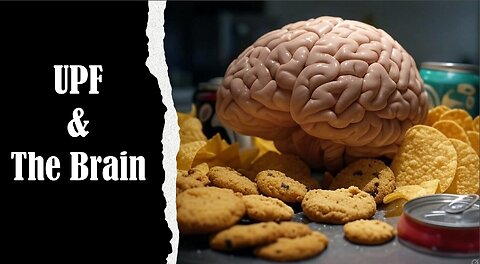 Ultra-Processed Food & The Brain