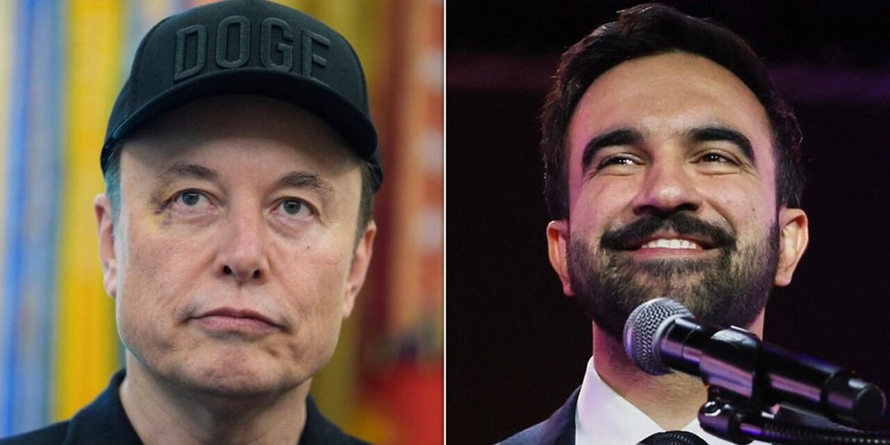 Elon Musk Endorses Cuomo Amid Criticism Over COVID Record