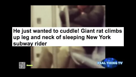 Giant rat climbs up on a sleeping New York subway rider