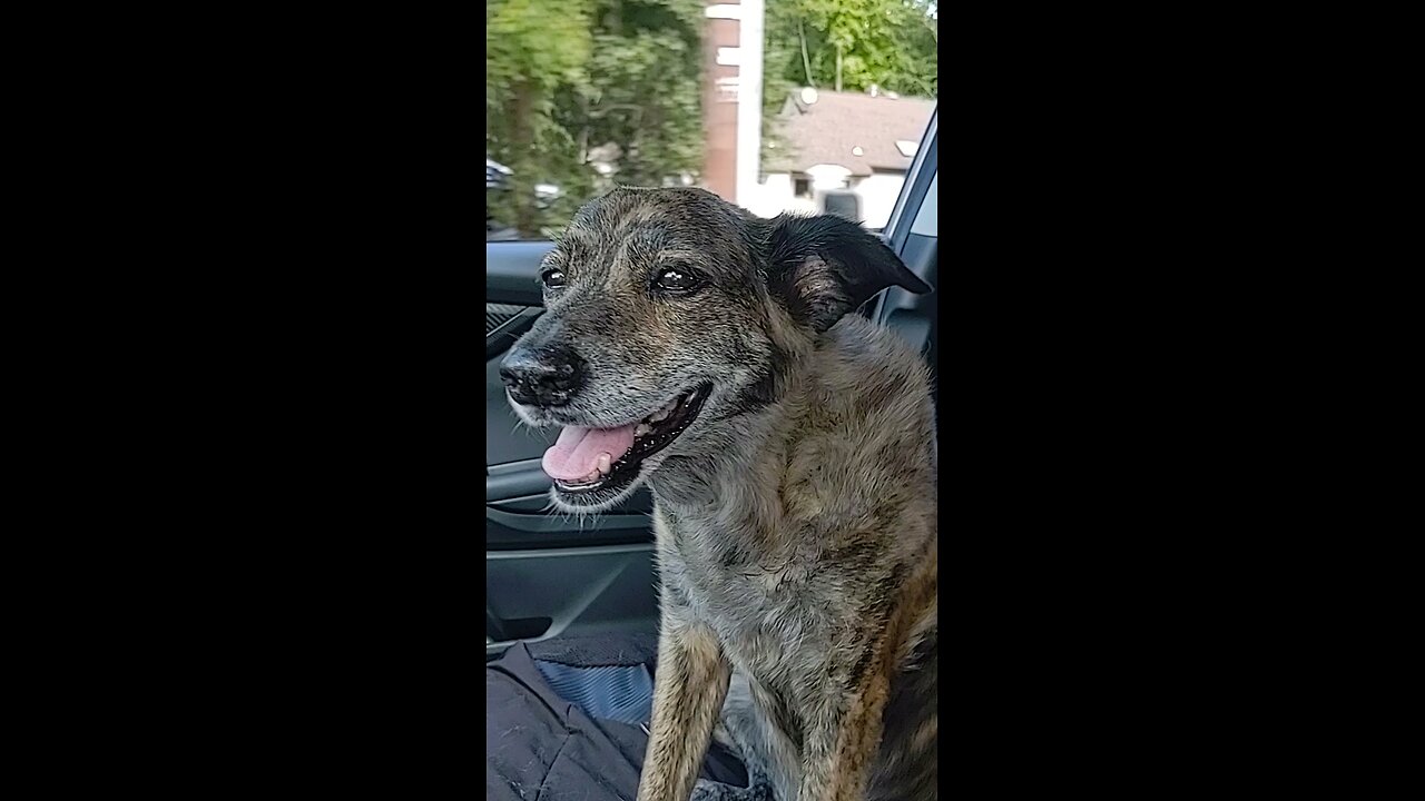 Loved to cruise with Dad
