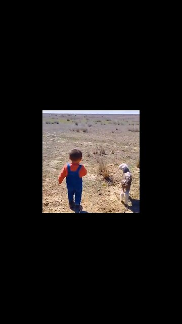 Kid Helps A Lamb To Reunite With His Mother