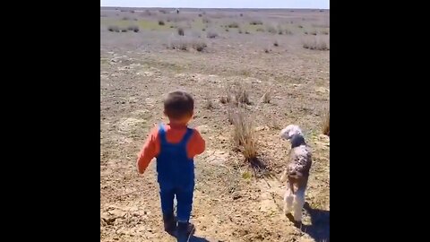 Kid Helps A Lamb To Reunite With His Mother