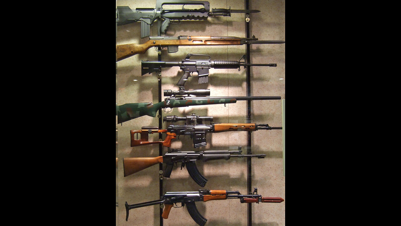 GUN LAWS IN THE THIRD REICH!