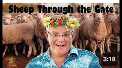 "Aussie Tin-Foil Hatters Mix: Sheep Through the Gate"
