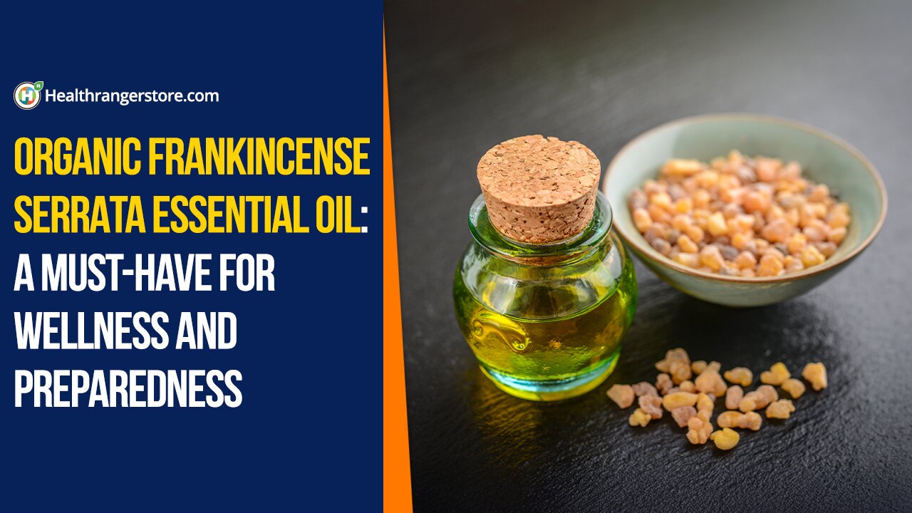 Organic Frankincense Serrata Essential Oil: A must-have for wellness and preparedness