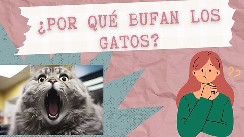 El Bufido De Los Gatos