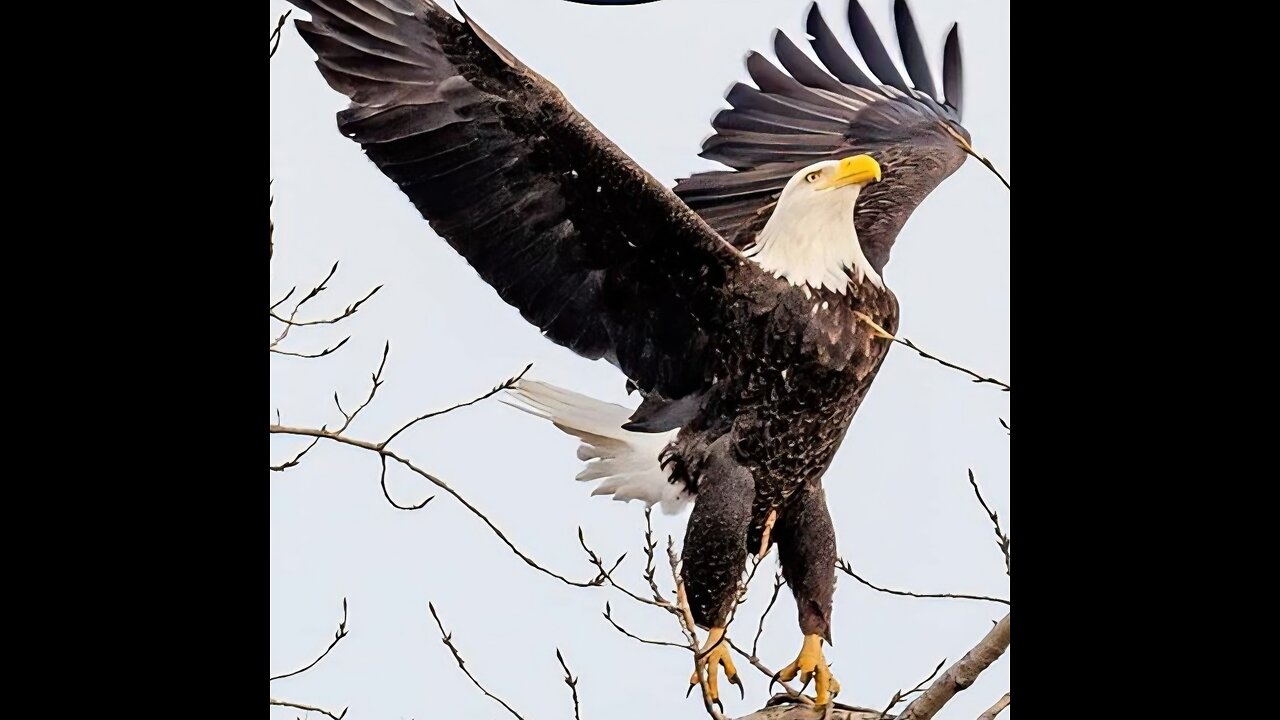 [Good question 🤔]