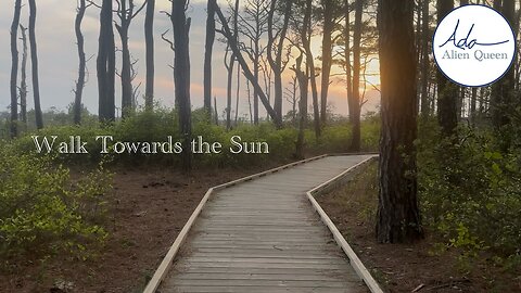 Ada Alien Queen • Ada Walks • Take # 00015 • Walk Towards the Sun