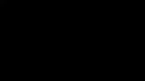 A Fortnite Girl Farting Animation