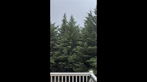 Peace in the Rain – Psalm 29:11 🌧️ | Bible Verse Reflection