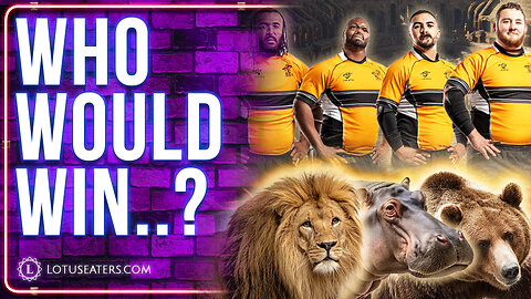 Lion vs Rugby Team | Fantasy Colosseum