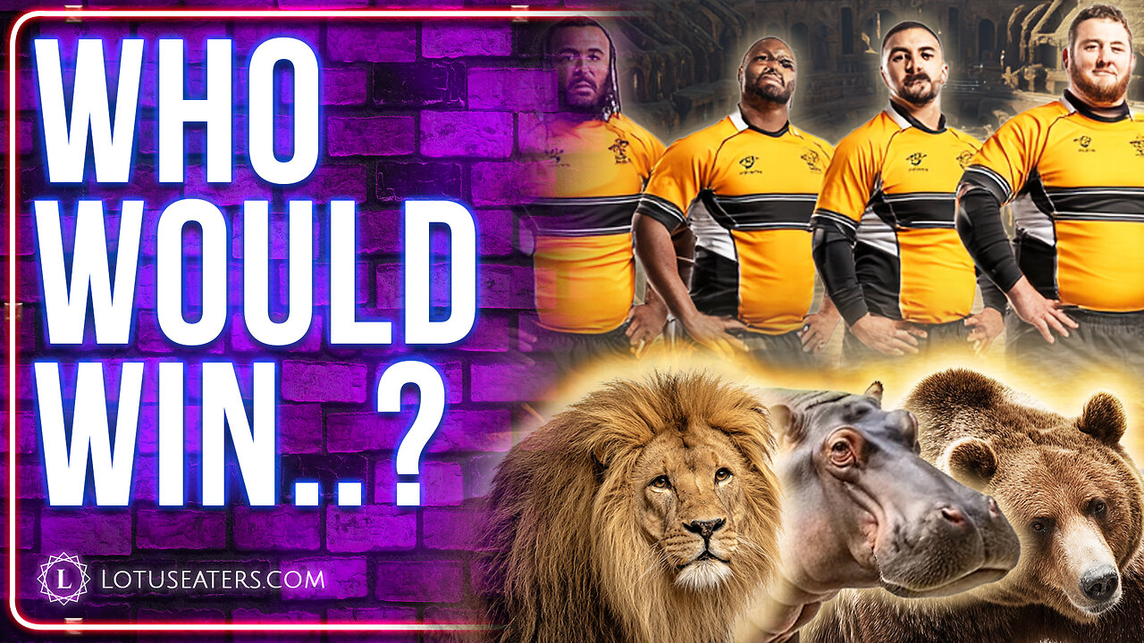 Lion vs Rugby Team | Fantasy Colosseum