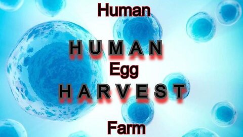 "Exploring the Future of Reproduction: A Deep Dive into Decanterbury's Human Egg Farm"
