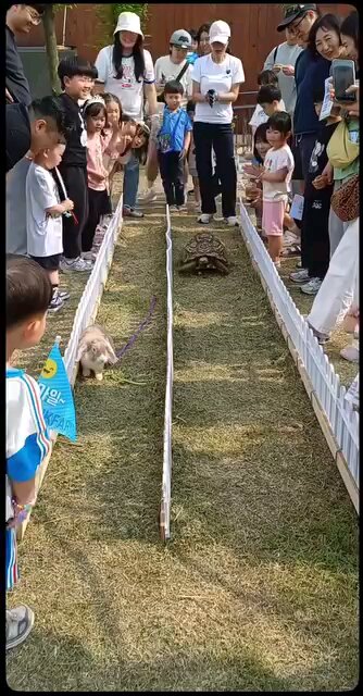 rabbit, practice 🤣 😅