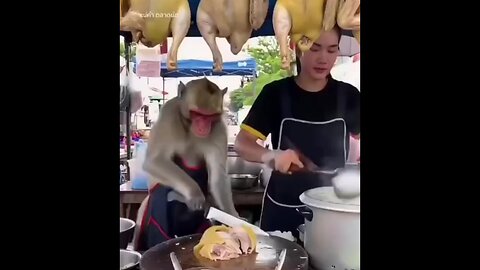 Works too slow