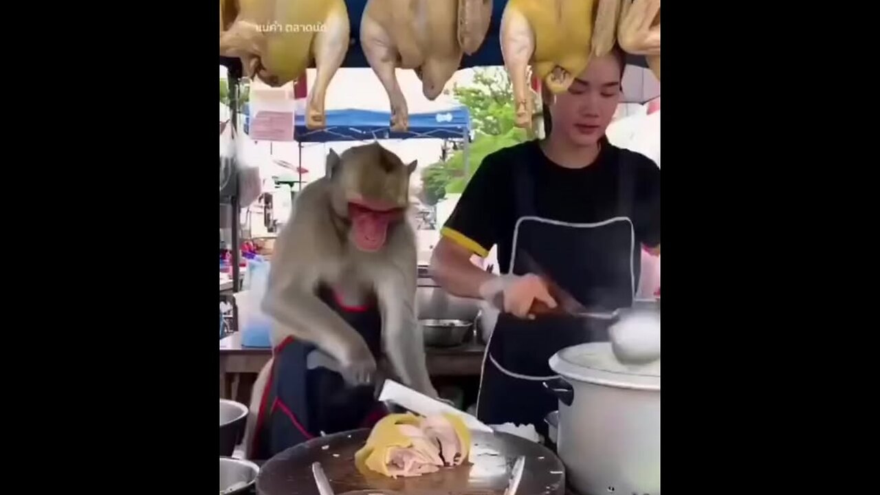 Works too slow