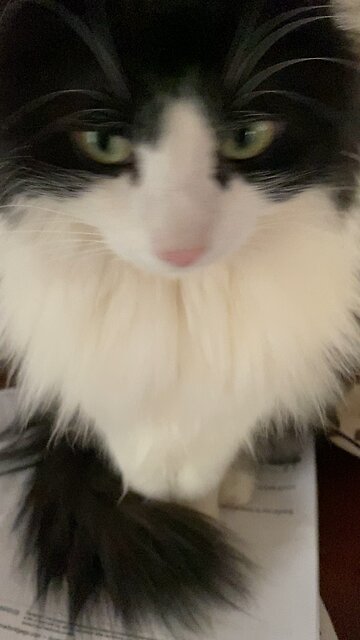 THE SWEETEST BOY BANDY🥺