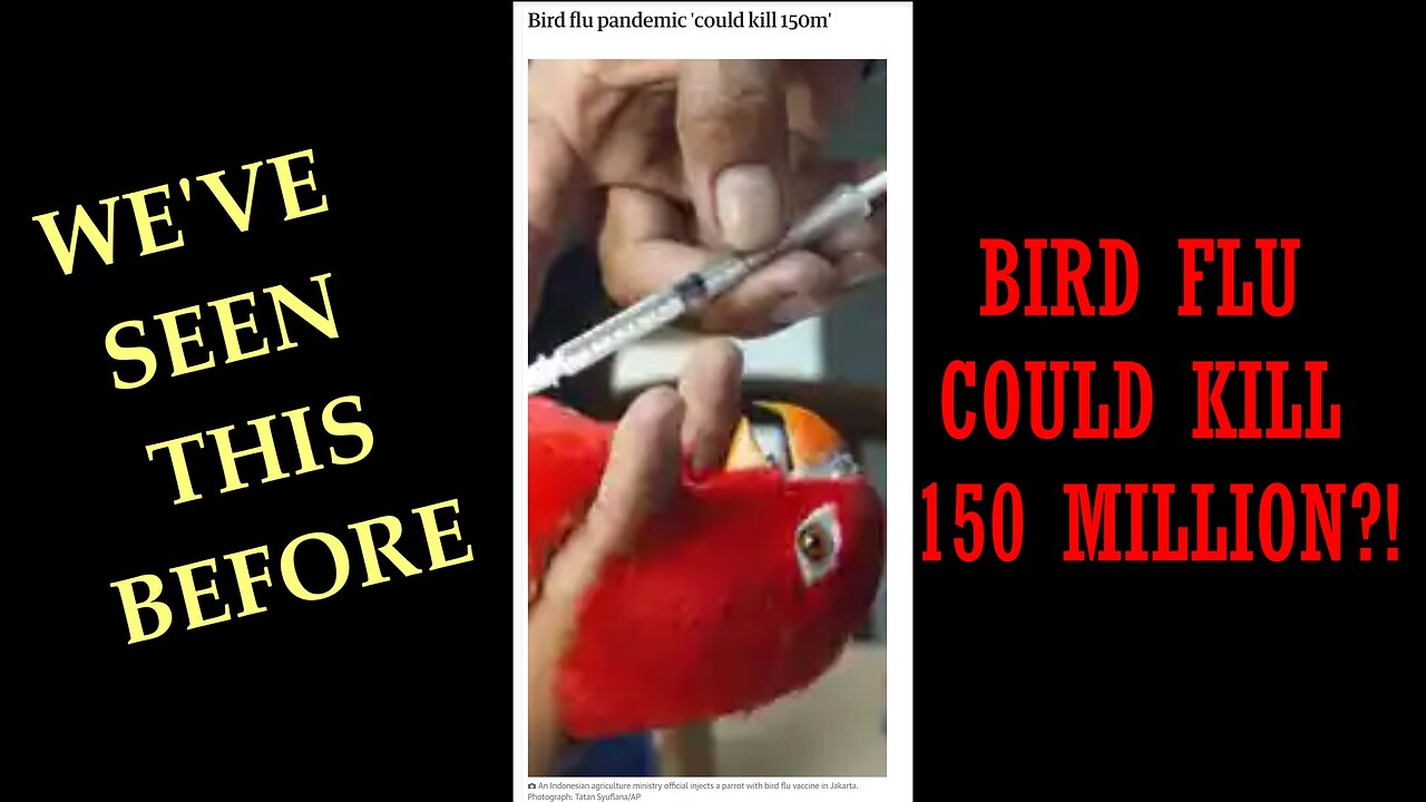 Bird Flu: WE'VE SEEN THIS BEFORE