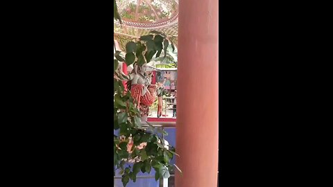 हर हर महादेव