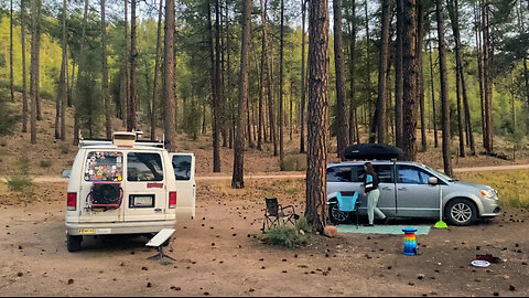 Van Life Oasis: Unexpected Tonto Forest Discovery