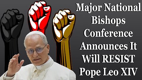 Major National Bishops Conference Announces It Will Resist Pope Leo XIV