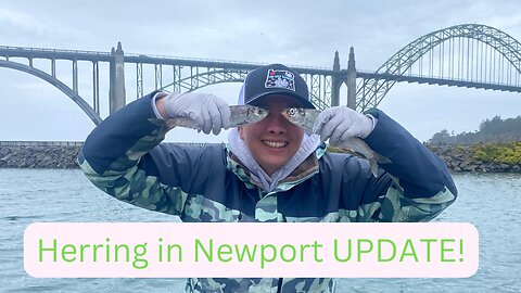 Herring & Crabbing Update in Newport Oregon Mid March