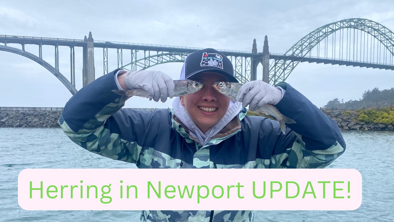 Herring & Crabbing Update in Newport Oregon Mid March