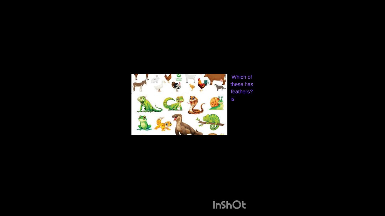science quiz for children