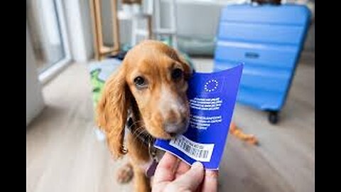 EU places restrictions on pets