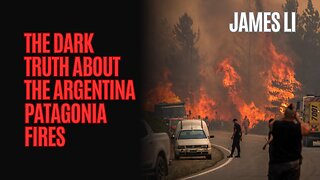 The Dark Truth About the Argentina Patagonia Fires
