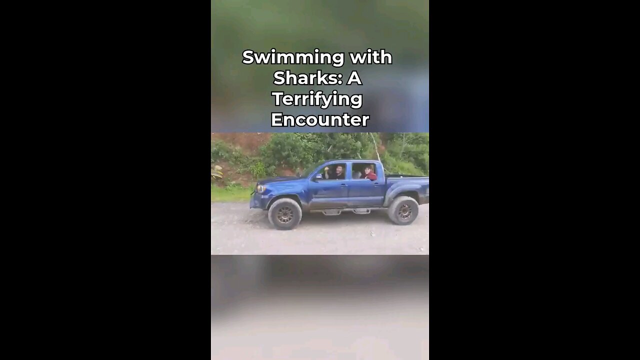 Swimming with Sharka: A Terrifying Encounter