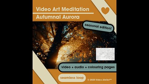 Video Art Meditation Relaxation Stress-Relief "Autumnal Aurora" Forest 4K Ambient Calm Harvest ASMR