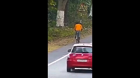 satisfying Video