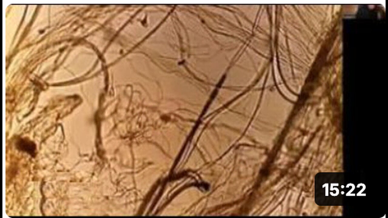 "Analysis of Spiderwebs from the Sky! #RFB"