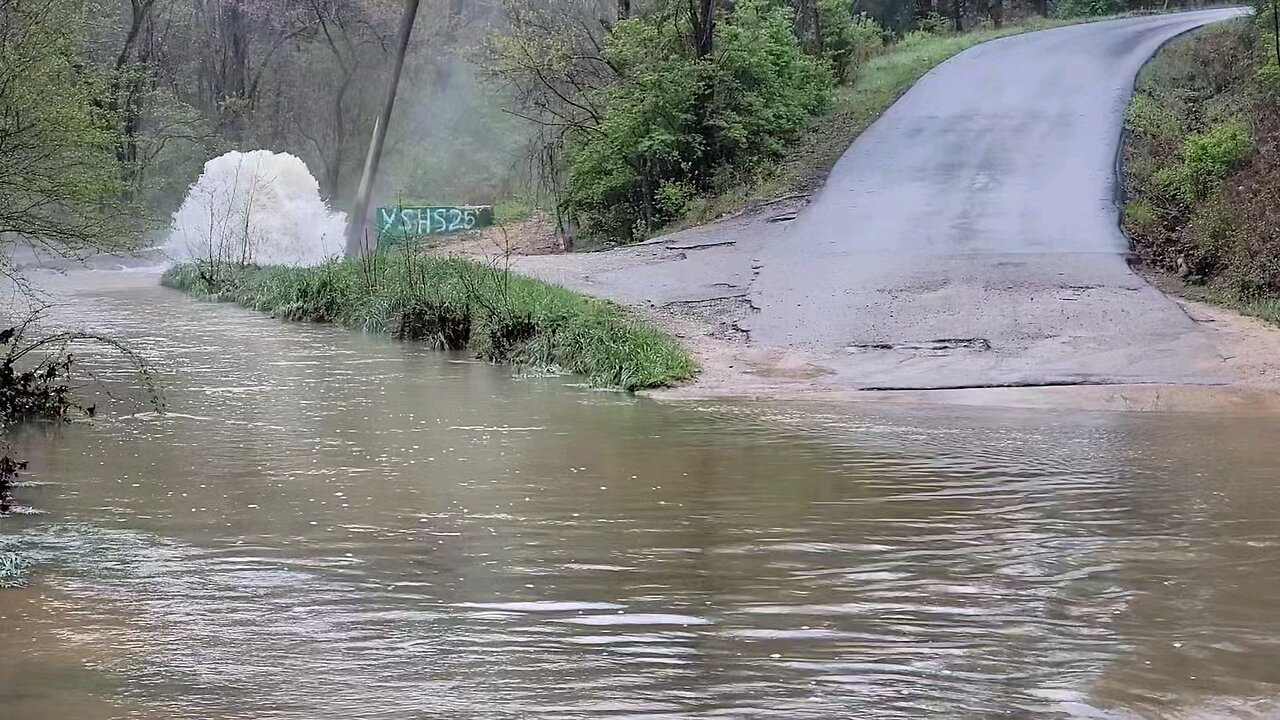 Gray Spring after April rains -- Sunday, April 6th, 2025