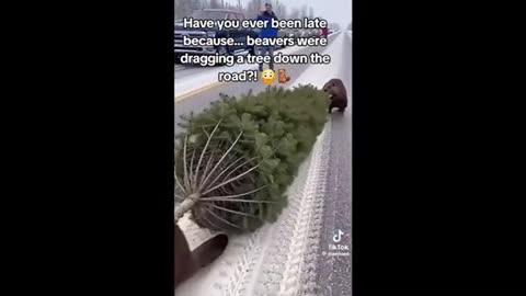 Need a laugh here and there ;)