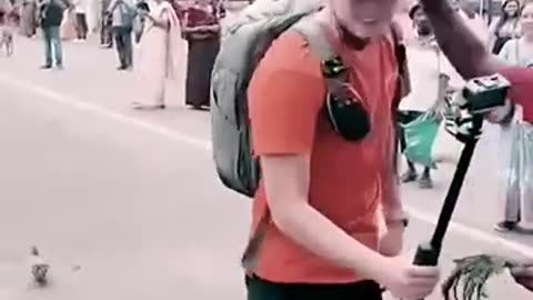 Langoor jumps on tourist's back 🤭