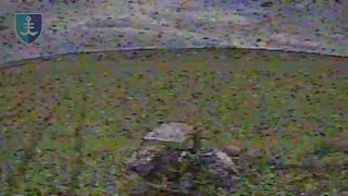 Drone Smashes into Russian APC