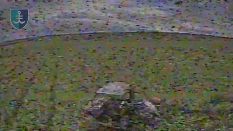 Drone Smashes into Overloaded Russia Golf Cart