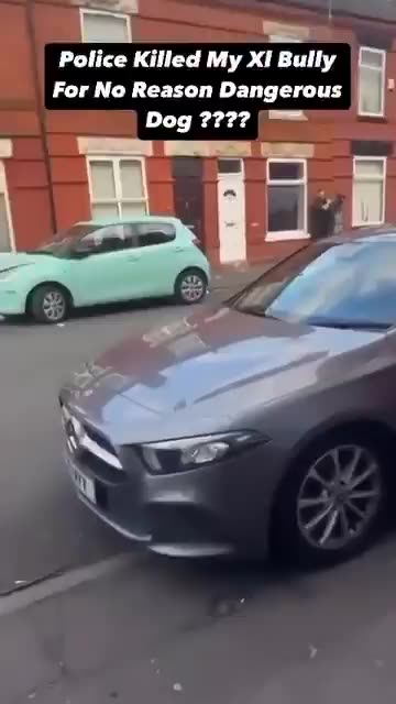 British police taser a pitbull that attacked an immigrant criminal while arresting