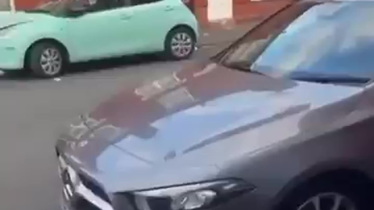 British police taser a pitbull that attacked an immigrant criminal while arresting