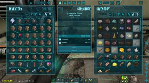 Ark Survival Evolved
