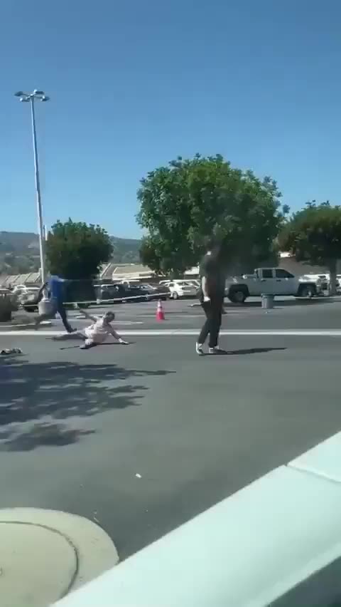 Elderly woman robbed of purse by usual suspect. Unspeakable crimes.