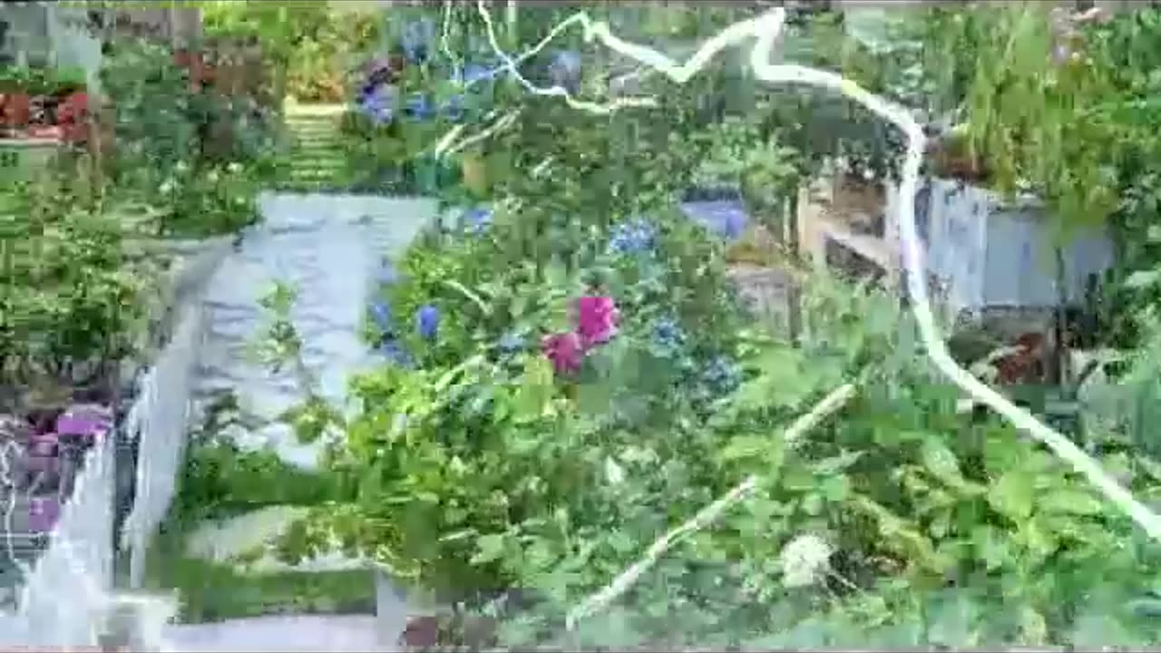 beautyfull flower broken