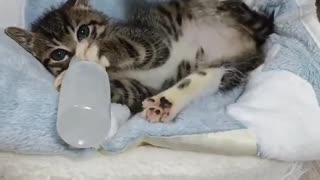 Oh, and loud, little slipper