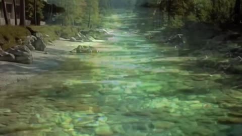 “Earn the Life You Want”