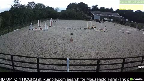 Mousehold Farm All Weather Riding arena