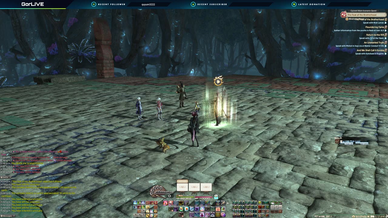 MSQ