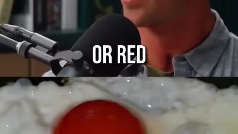 Yolk fraud